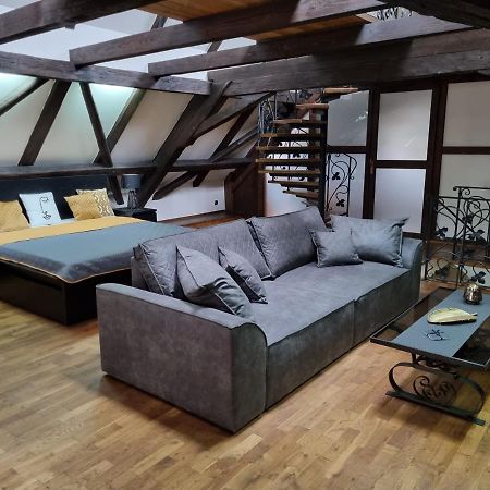 Galerie Vila Lucia 5 -Loft Apartman Plzeň Exteriör bild