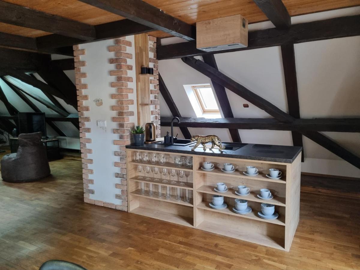 Galerie Vila Lucia 5 -Loft Apartman Plzeň Exteriör bild