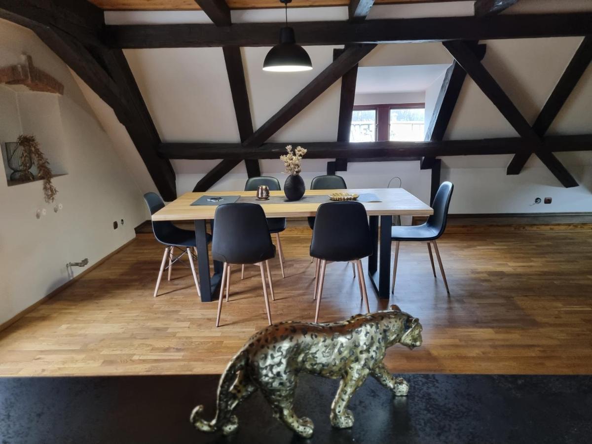Galerie Vila Lucia 5 -Loft Apartman Plzeň Exteriör bild