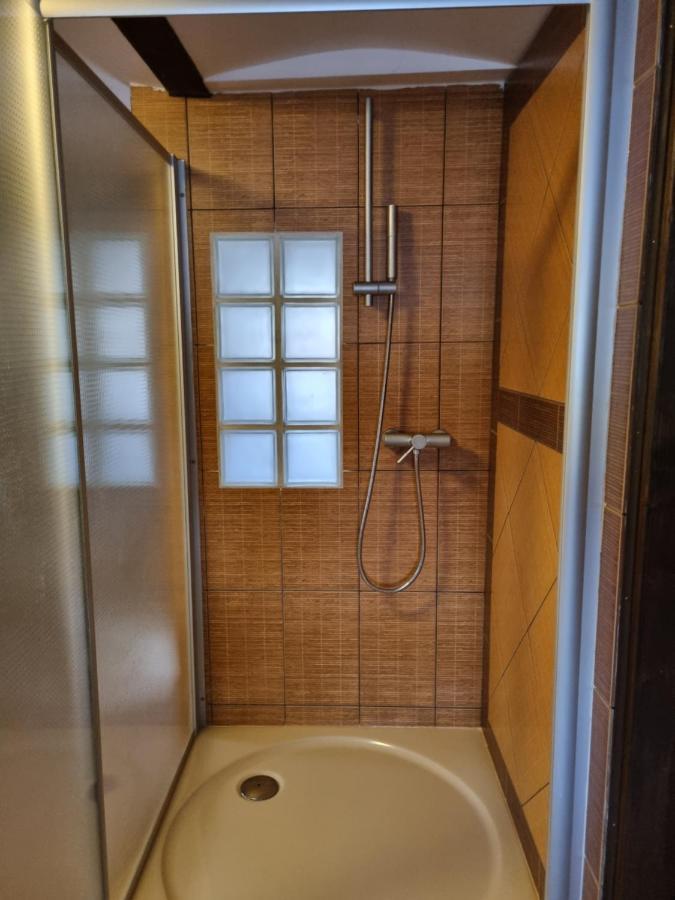 Galerie Vila Lucia 5 -Loft Apartman Plzeň Exteriör bild