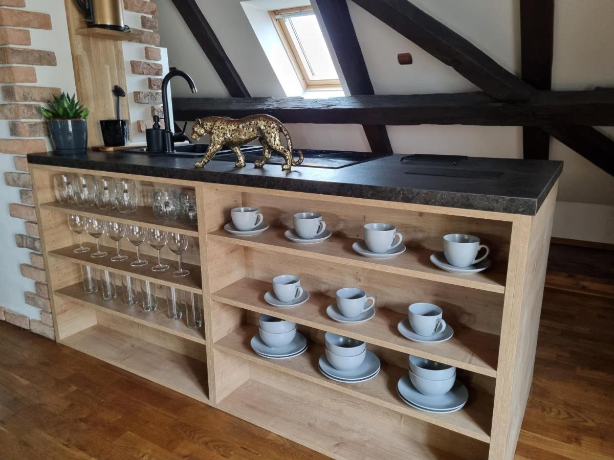 Galerie Vila Lucia 5 -Loft Apartman Plzeň Exteriör bild